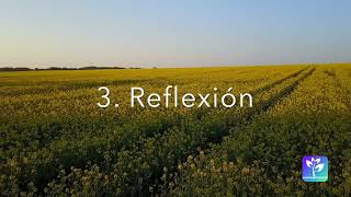 Daily Devotional - 08/17/2026 - In the storm, my faith is the anchor that sustains me