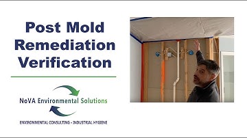 Mold Remediation Verification Inspection and Testing