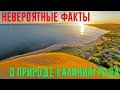 Невероятные факты о природе  Калининграда