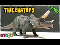 2020 Mojo Fun (Vintage Style) Triceratops Review!!!