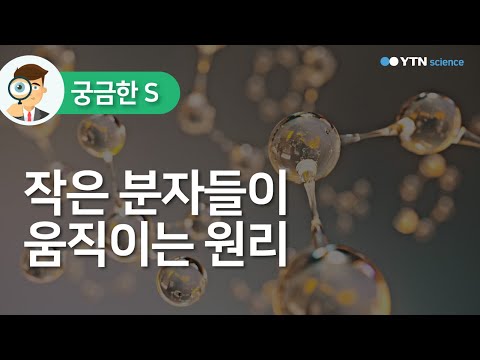 작은 분자들이 움직이는 원리 (feat.브라운 운동) / YTN 사이언스