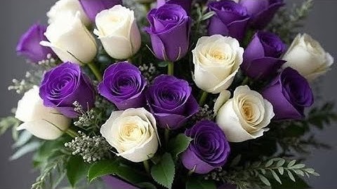 نور الهداية🌺أستنارة قلبك بأيات القرآن الكريم🎧😴قبل النوم