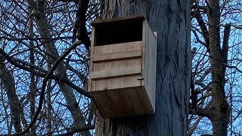 Time lapse - installing a screech owl nest box