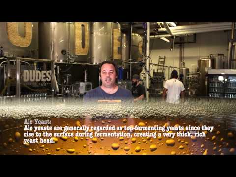 How To Brew Beer At Home Types Of Homebrewing Yeast-11-08-2015