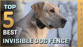 Top 5 Best Invisible Dog Fence Review in 2023