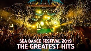 Best Reasons to Visit Sea Dance Festival 2019