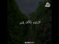 Deep Emotional Quran Recitation for Heart Serenity and Soul Healing #HolyQuran #SoulHealing