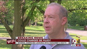 What charges may be filed in Cincinnati Zoo gorilla incident?