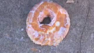 Krispy Kreme Challenge Trailer (2008)