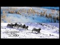 Охота на снежного барана чубуку  ч1.  (Анонс)
