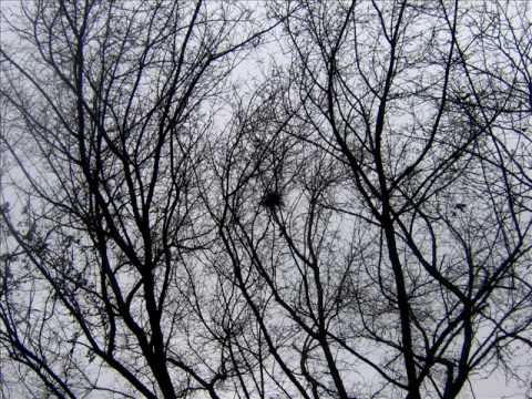 Celestial Season - Decamerone