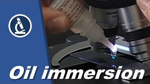 🔬 How to do OIL IMMERSION microscopy and preparation of cells | Amateur science project