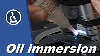 🔬 005 -  How to do OIL IMMERSION microscopy and preparation of cells | Amateur science project