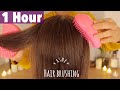 [ASMR] Soothing Hair Brushing 1h with Two Tangle Teezers | No Talking