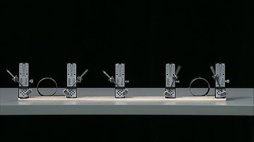 The Neuroscience Behind Storytelling [Uri Hasson]