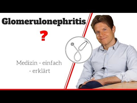 Was bedeutet Glomerulonephritis?! Symptome, Therapie, Prognose einfach erklärt!