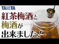 3kgはかれるクッキングスケールで仕込んだ梅酒がついに完成！