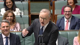 Albanese’s parliamentary ‘aggro’ on display ‘for all to see’