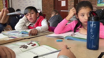 Instructional Strategies - Standard 8