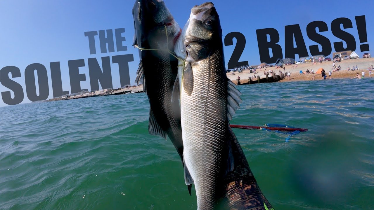 UK Spearfishing for Bass in Terrible Visibility Once Again! 