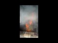 NOFD demonstrates how fast a dry Christmas tree can burn