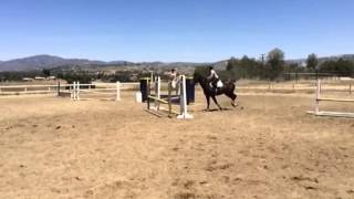Fortune and Kelly 20140503