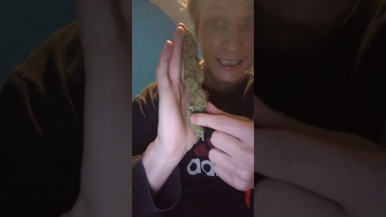 Future #1 Strain Review From FreakShowGrow77