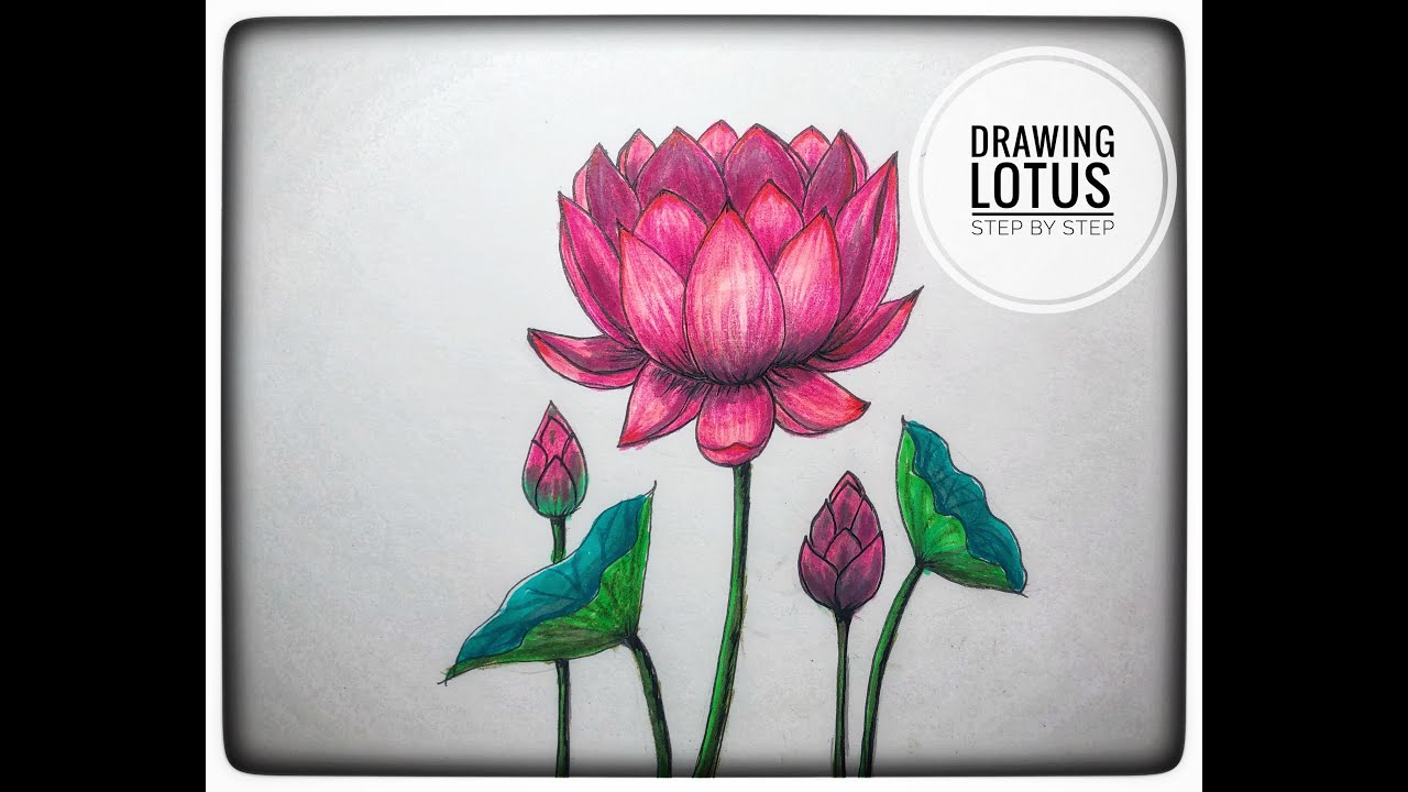 Drawing Lotus/ Step by Step/Relaxing/Meditation วาดรูปดอกบัวตามขั้นตอนง่ายๆเพื่อนการผ่อนคลาย