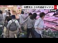 6月消費支出1.4％減 2カ月連続マイナス　電気・ガス代の政府支援縮小が影響
