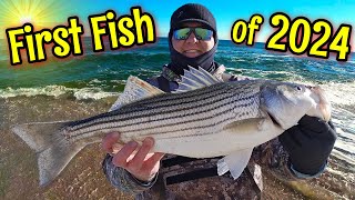 New Jersey Striped Bass Surf Fishing 2024 (First Fish of the Year) by Mental Health Day 2,090 views 1 month ago 8 minutes, 49 seconds