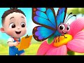 ليا تشاتشا  أين الربيع