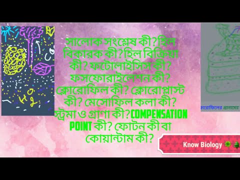 সালোক সংশ্লেষ সম্পর্কিত গুরুত্বপূর্ণ প্রশ্নোত্তর