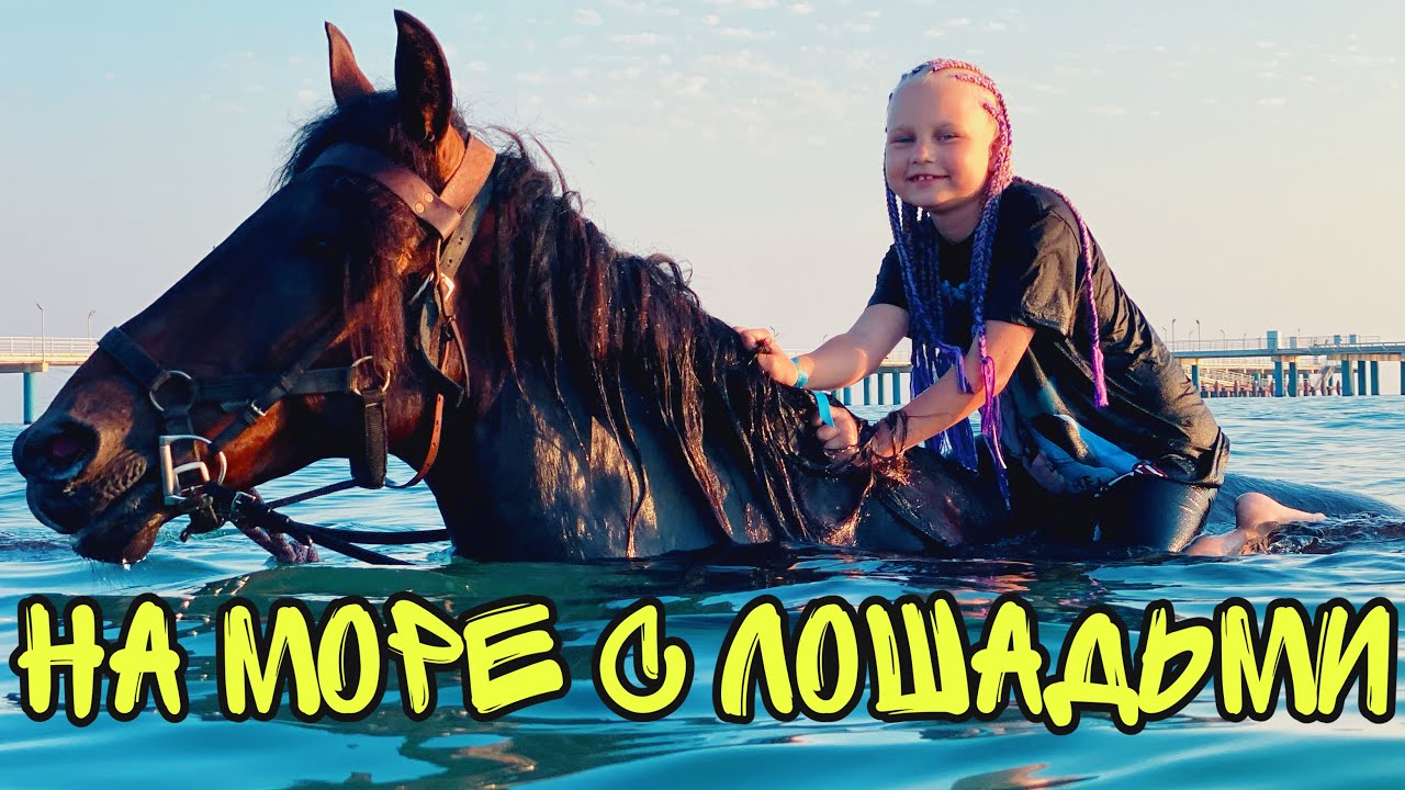 ВЛОГ Купаемся с лошадьми в море ! АКТИВНЫЙ ВЕЧЕР на отдыхе ! Батя Лёша реальная жизнь