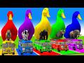 Long Slide Game With Cow Elephant Gorilla Hippopotamus Tiger 3d Animal Game Funny 3d Animals