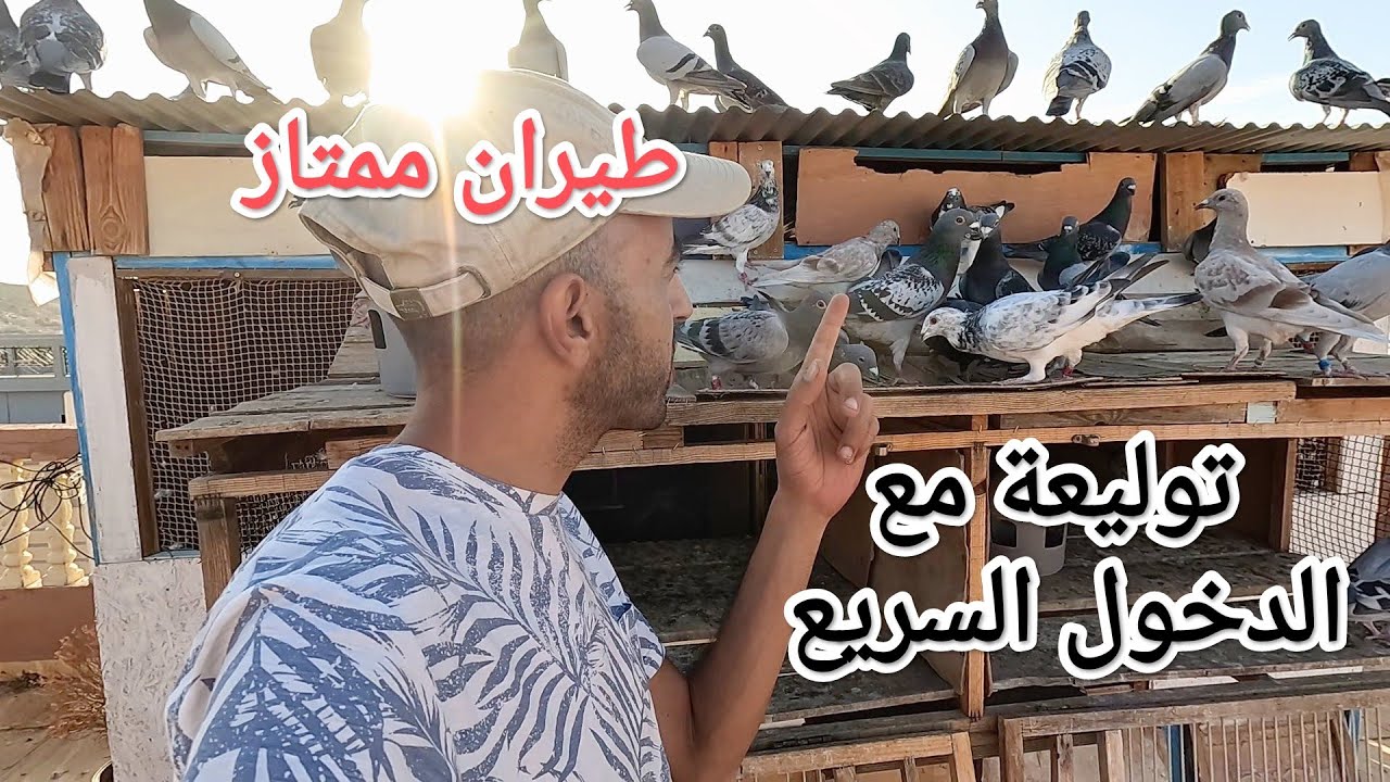 توليعة مع بعض المعلومات ،،،،، أنت حر في إختيارها 🫡🕊️♥️