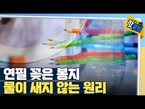 [핫클립] <strong>연필</strong> 꽂은 봉지가 안 새는 이유 / YTN 사이언스