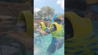 We had so much fun at @discoverycove with our friend @BriChief ❤️🐬 Bae was soo scared 😂😂