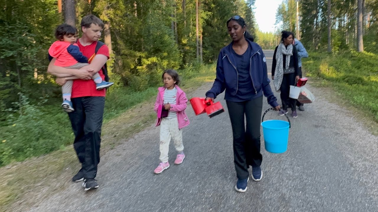 Picking Blueberries 🫐|| 