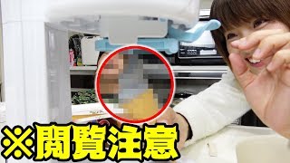 炭入りアイスを作ったらとんでもないものができた・・