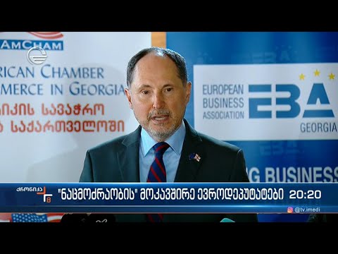 \"ნაცმოძრაობის\" მოკავშირე ევროპარლამენტარები