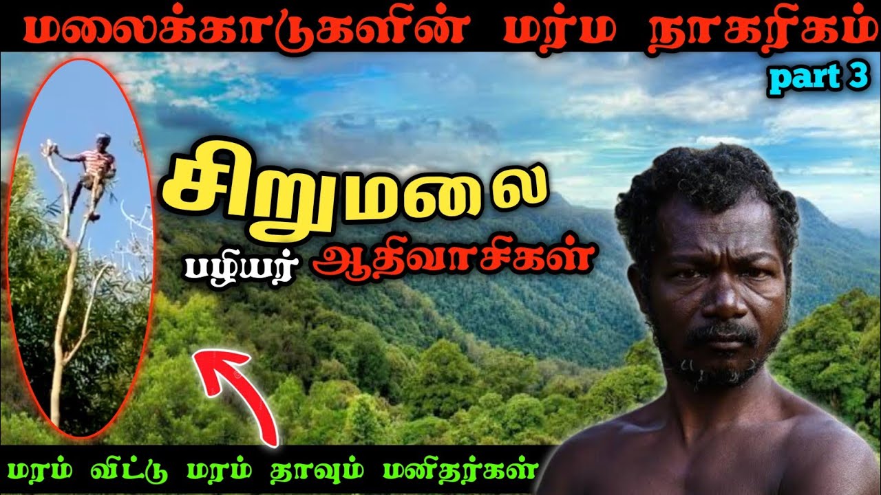 மரம் தாவும் மனிதர்கள் சிறுமலை ரகசியம் Tree jumping tribal people  ‍#forest #village #tribal #nature