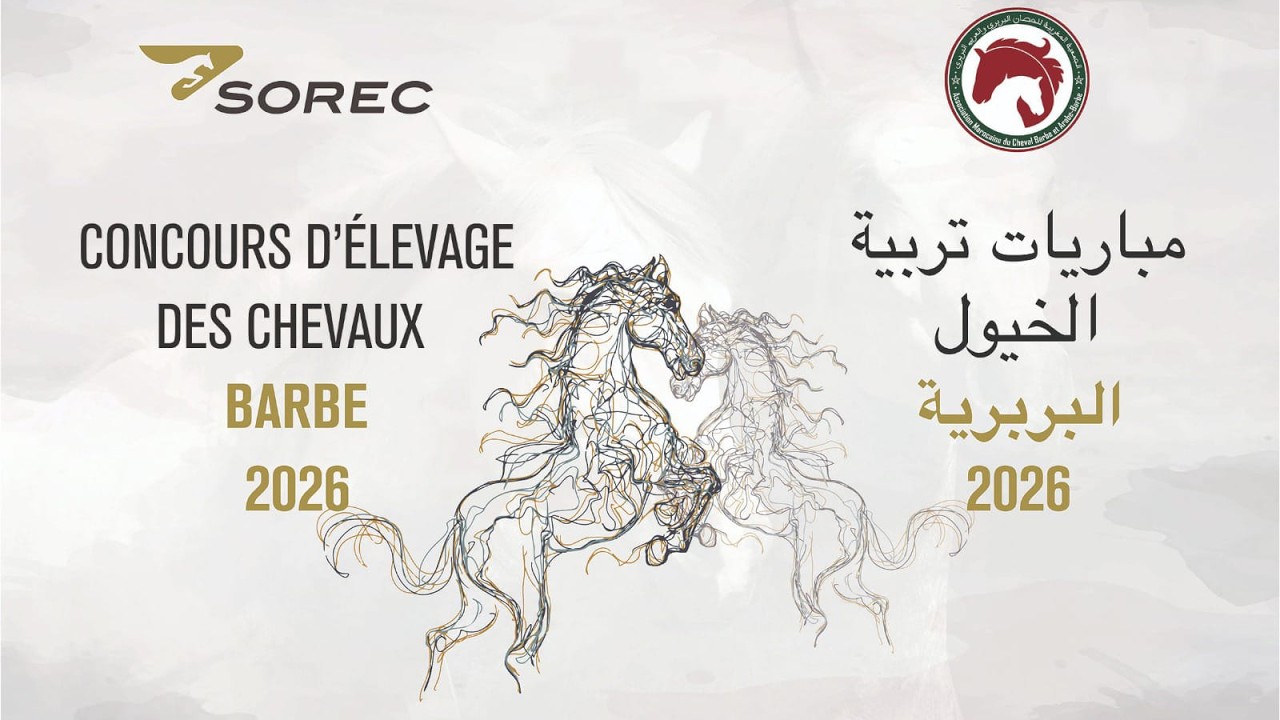 CONCOURS D'ELEVAGE DES CHEVAUX BARBE 2026