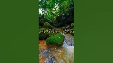 من روائع الإمام الشافعى توكلت فى رزقى على الله خالقي 
