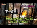 Download Lagu Anakan Murai Batu Umur 2 Bulan || Bahan Trotolan Gacor Di Daan Mogot