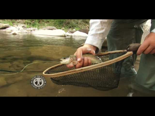brazos box fishing Fishing on the Brazos