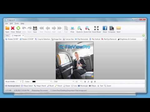 FileViewPro Cow Review