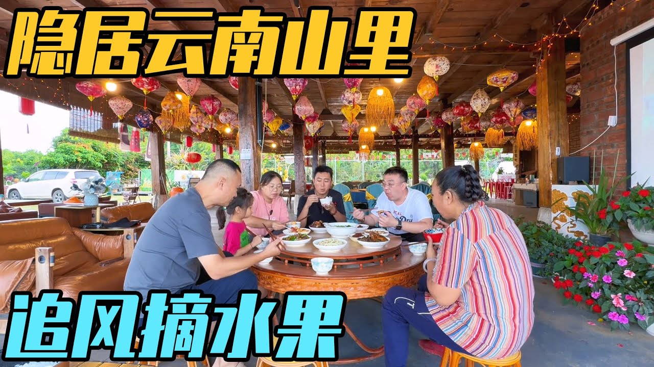 隐居云南山里，追着风摘水果，把生活过成童话【家和远方的旅行】
