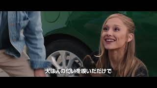 ロバート・デ・ニーロ×ベン・スティラー、15年ぶりとなる最新作にアリアナ・グランデ参戦『ミート・ザ・ペアレンツ／フィアンセの襲来』海外版本予告【2027年1月8日公開】 ミート ザ ペアレンツ