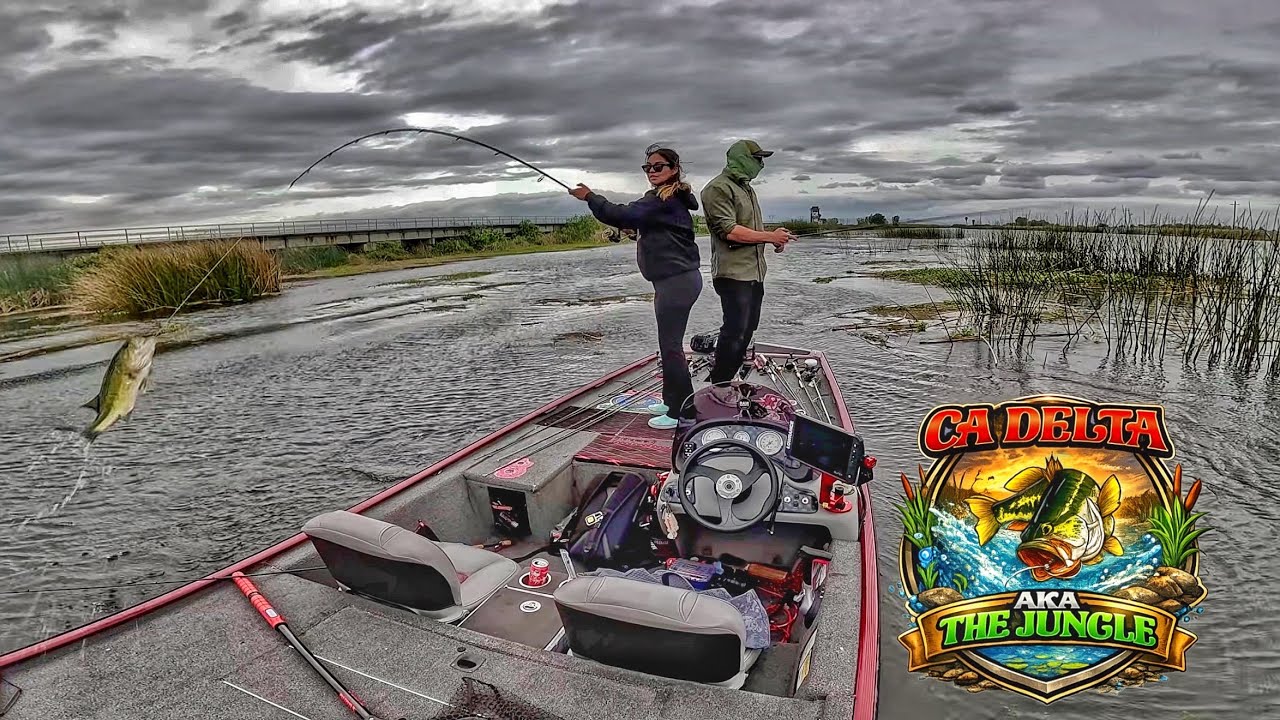 delta fishing reels Loomis Spinning Reel Total durable all DELTA SPINCAST REEL | Zebco