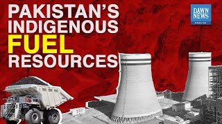 Can Pakistan rely on indigenous fuel to reduce import bill?